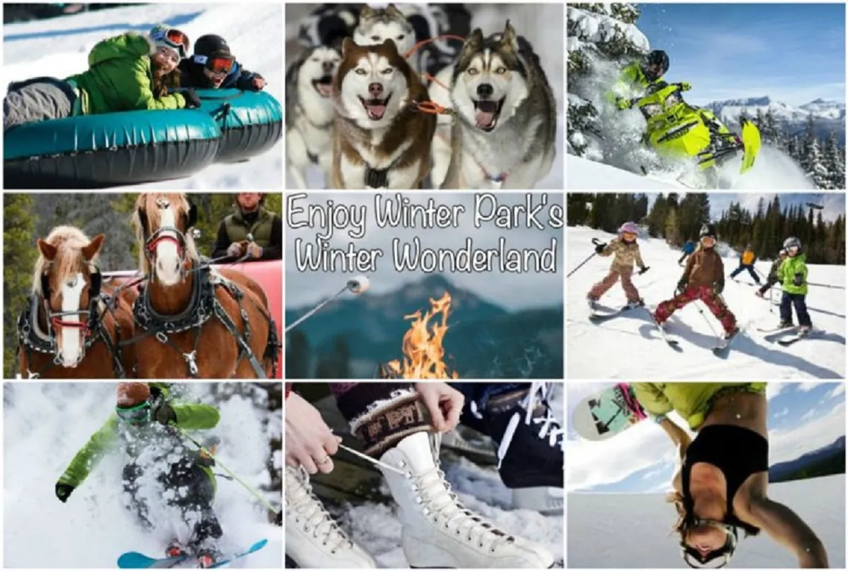 A vibrant scene showcasing a variety of winter mountain adventures: people tubing down snowy hills, huskies ready for dog sledding, snowmobiles in action, groups skiing and snowboarding, and friends gathered around a campfire. The snowy landscape and diverse activities capture the excitement and variety of mountain experiences available.